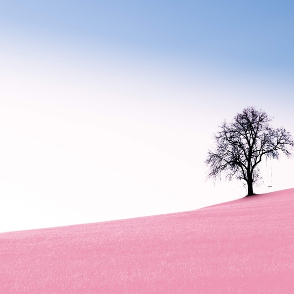 Meet your Posher, Antonia - Picture 1 of 1